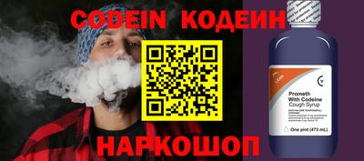 МДПВ Кингисепп