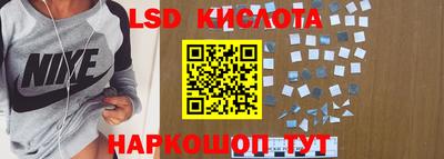 индика Кандалакша