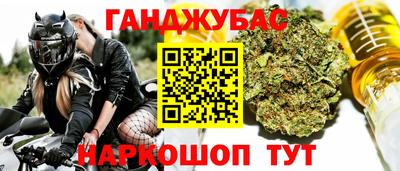 индика Кандалакша
