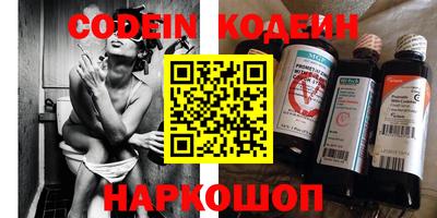 МДПВ Кингисепп