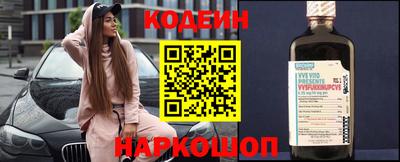 МДПВ Кингисепп