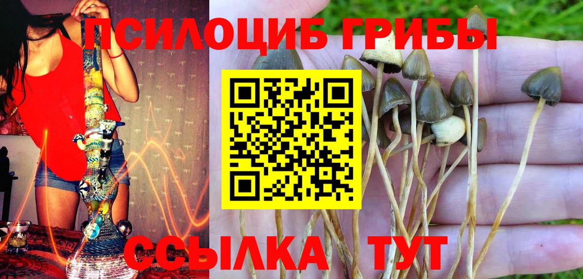 Галлюциногенные грибы прущие грибы Кумертау