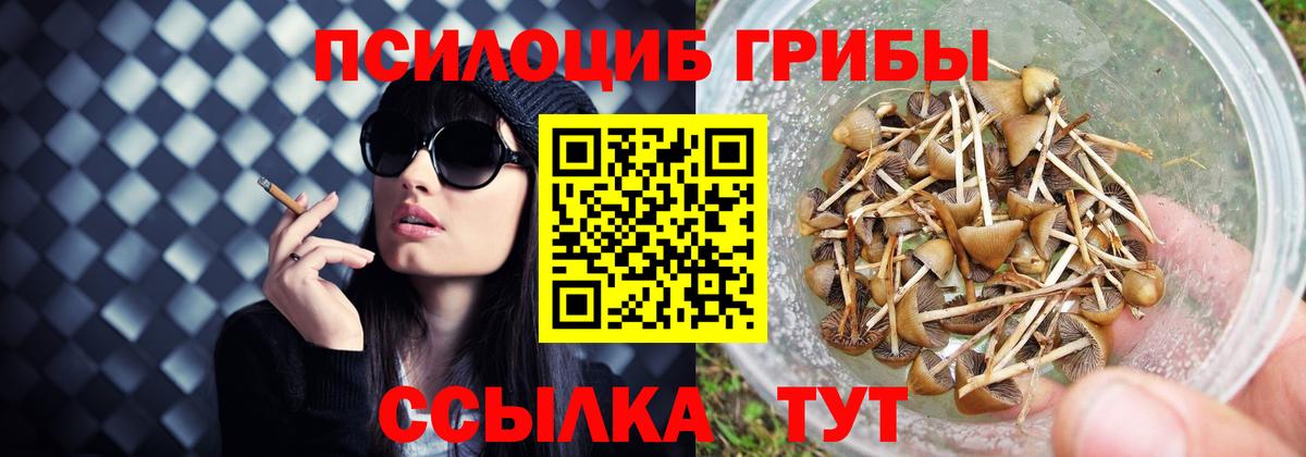 Кумертау  где продают   Вход с VPN  Галлюциногенные грибы ЛСД 